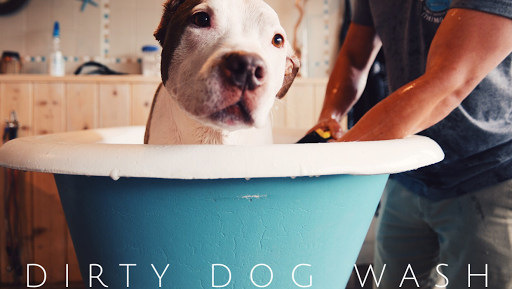 Dirty Dog Wash - Image 1