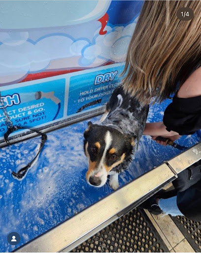 Pawfect Wash Lake City - Image 1