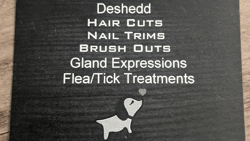 Country K-9 Grooming LLC - Image 1