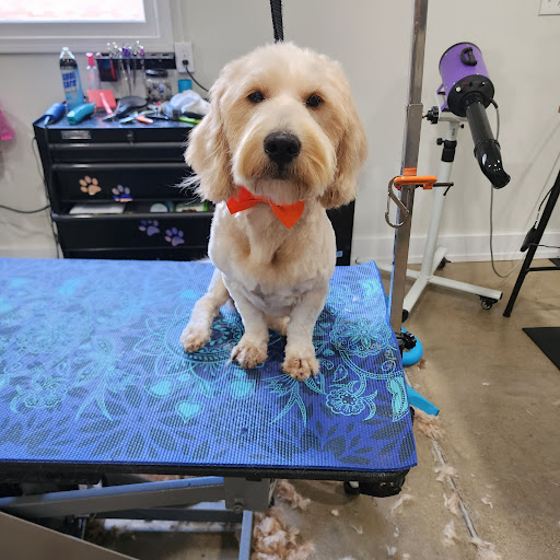 HAPPY DOG GROOMING LLC - Image 1