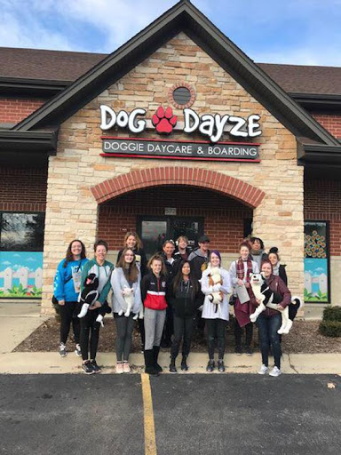 Dog Dayze- Doggie Daycare & Boarding - Image 1