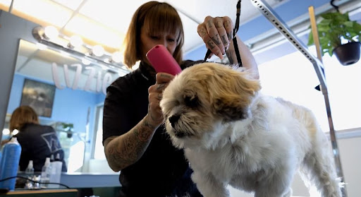 Cheryl's Pet Grooming - Image 1