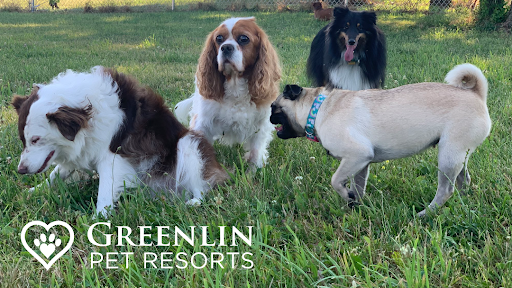 Greenlin Pet Resorts - Harrisburg - Image 1