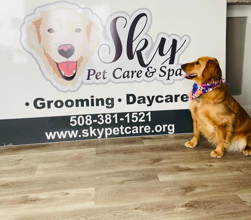 Sky Pet Care & Spa - Image 1