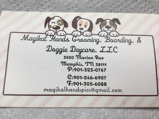 Magikal Hands Grooming, Boarding, & Doggie Daycare,LLC - Image 1