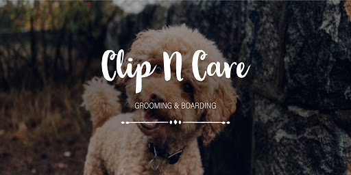 Clip N Care - Image 1