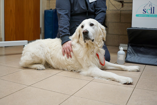 Edina Pet Hospital - Image 1