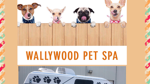 WallyWood Pet Spa - Image 1