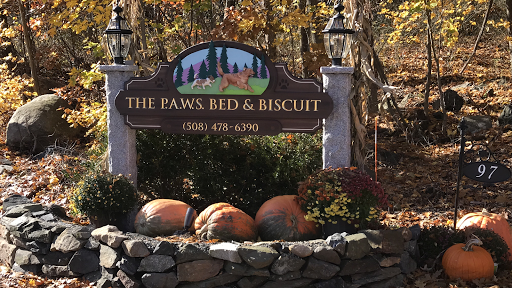 PAWS Bed & Biscuit - Image 1