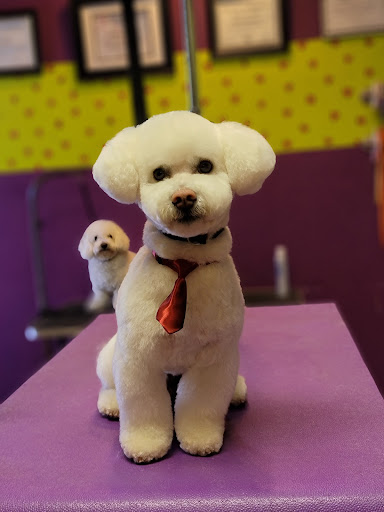 Lather & Leash Dog Grooming - Image 1