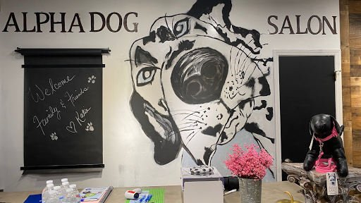 Alpha Dog Salon - Image 1