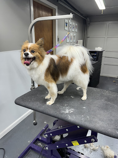 Sheree’s Pet Spa - Image 1