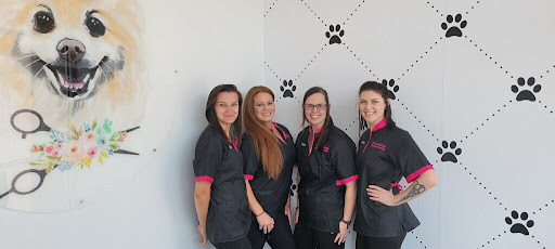 Erika Ashley's Elite Dog Grooming - Image 1