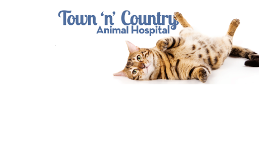 Town N Country Animal Hospital - Image 1