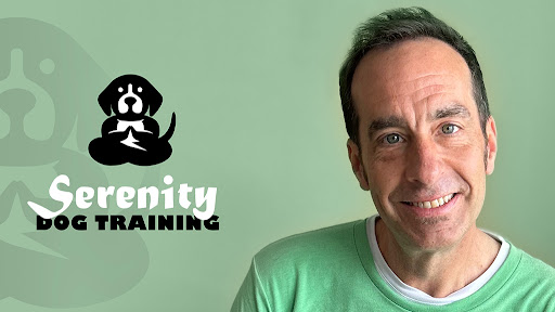 Serenity Dog Training - Image 1