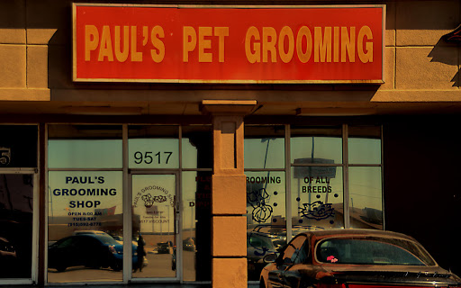 Paul's Pet Grooming - Image 1