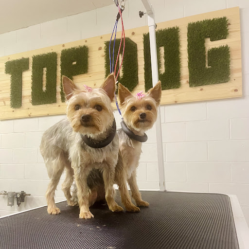 Top Dog Grooming, Deshedding, Boarding - Image 1