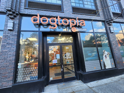 Dogtopia 8th Avenue - Image 1