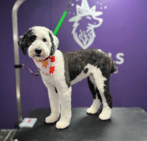 Wonderbark Dog Grooming - Image 1