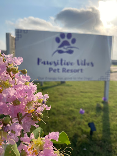 Pawsitive Vibes Pet Resort - Image 1