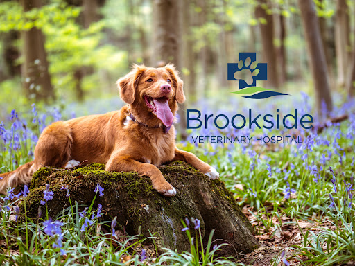 Brookside Veterinary Hospital - Image 1