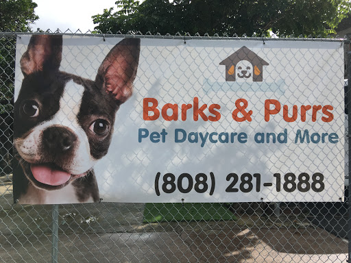 Barks and Purrs Pet Daycare and more - Image 1