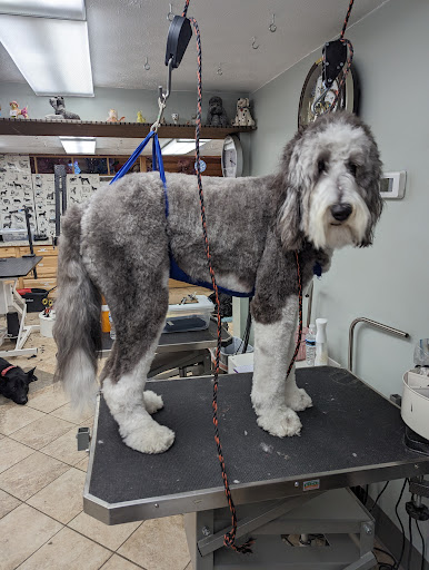 Gurs N Purs Pet Grooming Salon - Image 1