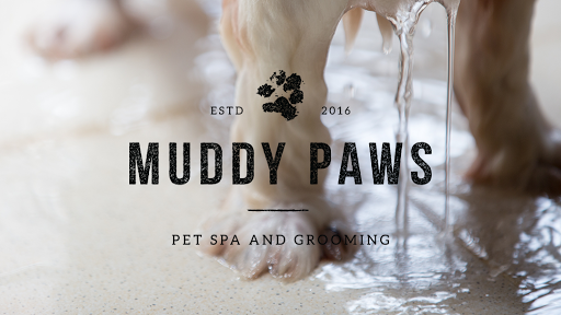 Muddy Paws Pet Spa and Grooming - Image 1