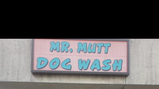 Mr Mutt Dog Wash - Image 1