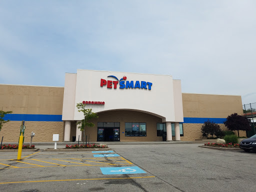 PetSmart Grooming - Image 1