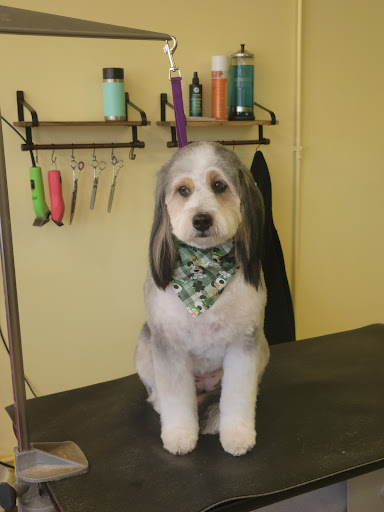 Pawfect Styles Pet Grooming - Image 1