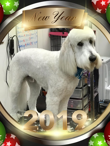 Blue Haven Pet Salon - Image 1