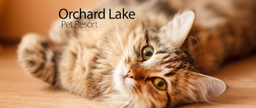 Orchard Lake Pet Resort - Image 1