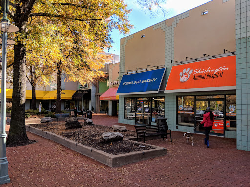 Dogma Bakery - Village at Shirlington - Image 1