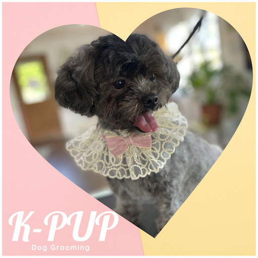 K-Pup Dog Grooming - Salon and Spa and Make-over - Image 1