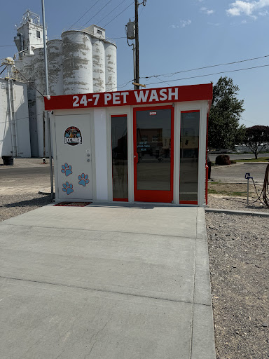 The Salty Dog Wash - Image 1