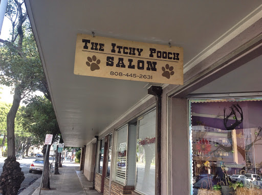 The Itchy Pooch Salon - Image 1