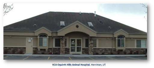 VCA Oquirrh Hills Animal Hospital - Image 1