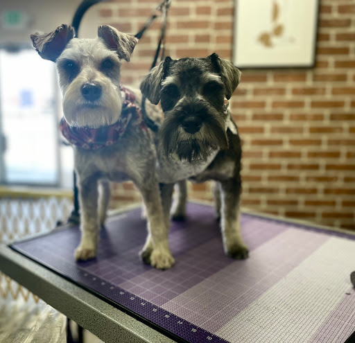 Pawmaste Pet Parlor - Image 1