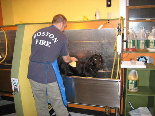 BYOD dog wash - Image 1