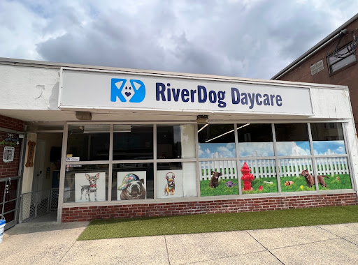 RiverDogs for Days - Image 1