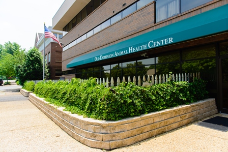 Old Dominion Animal Health Center - Image 1