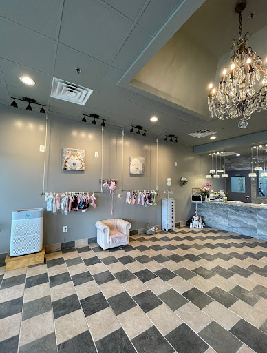 Star Dog Salon - Image 1