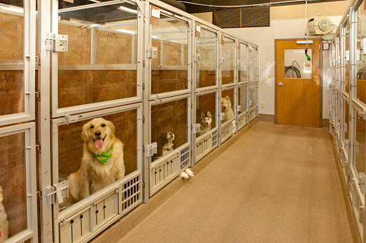 SAHO Owasso Animal Hospital - Image 1