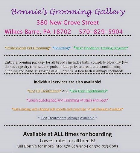 Bonnie's Grooming Gallery - Image 1