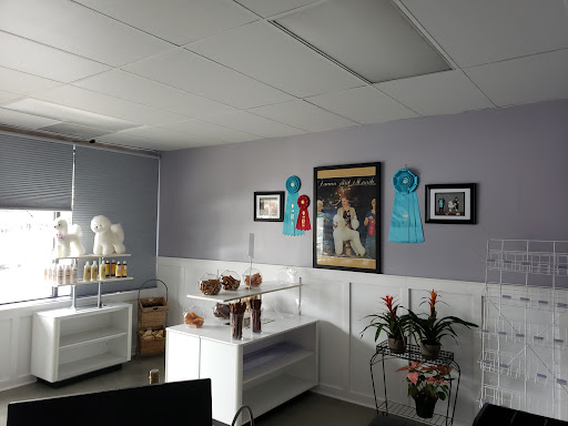 Allure Pet Salon - Image 1