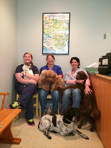 South Bay Veterinary Clinic - Image 1