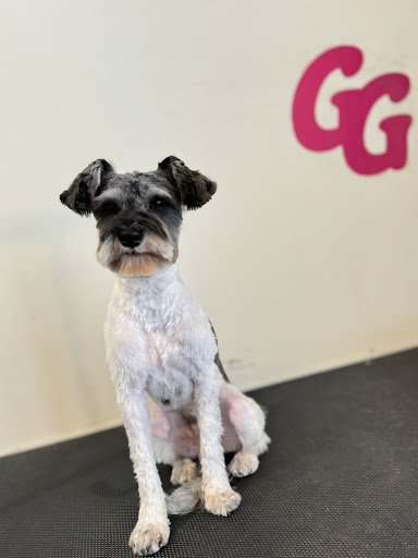 Bark & Crown Dog Grooming - Image 1