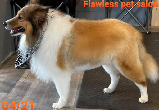 Flawless Pet Salon - Image 1