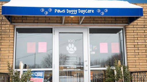 Paws Doggy Daycare - Image 1